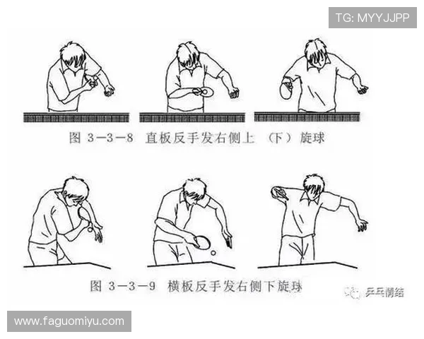 乒乓球运动的魅力与技术进步：从发球到接球的全面解析
