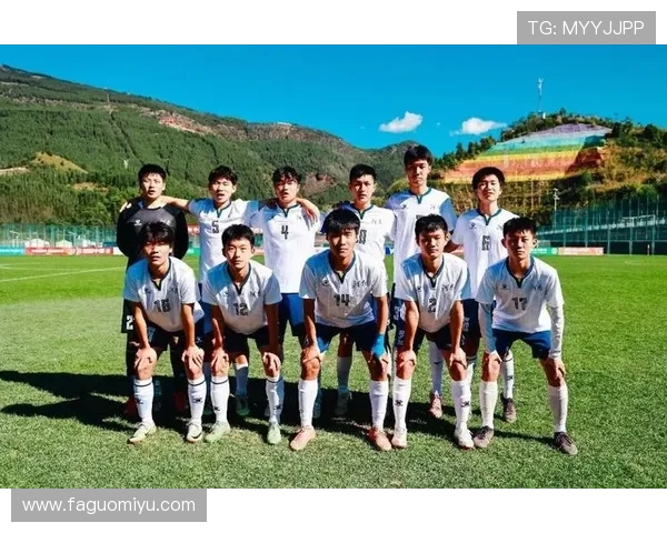 武汉足球队灵活性排名第二引发热议足球界关注