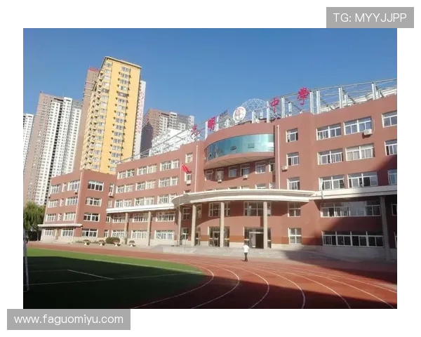 史鸿飞的奋斗历程与人生哲学探讨：从平凡到卓越的成长之路